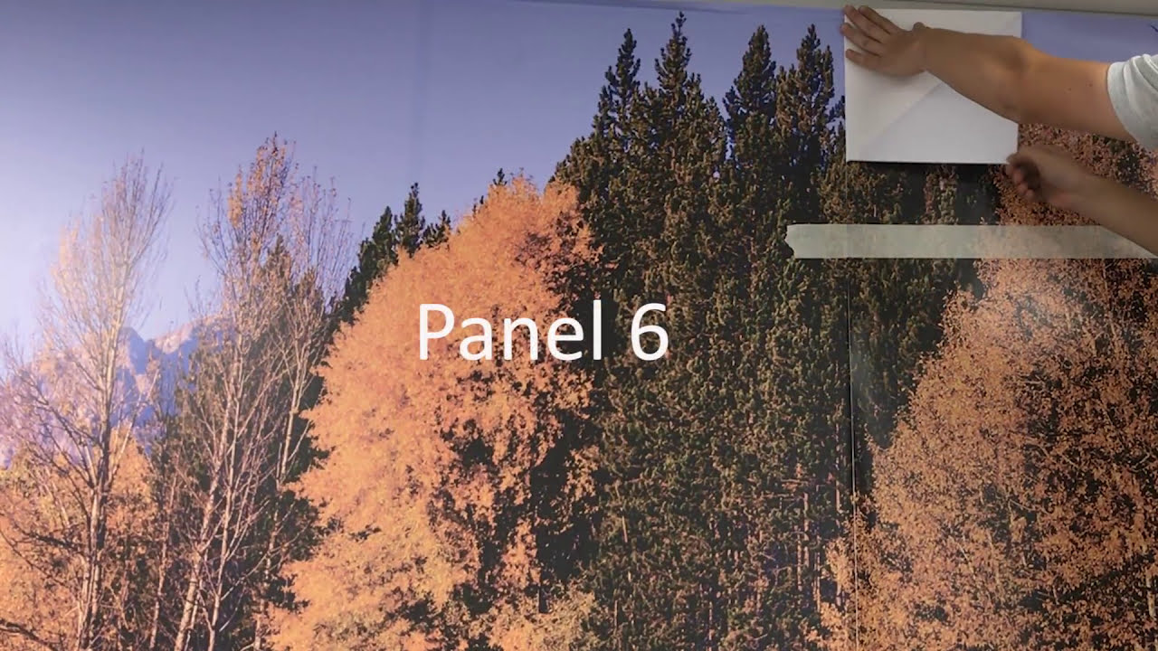 Mural wallpapers how to apply by stickers wall Videos