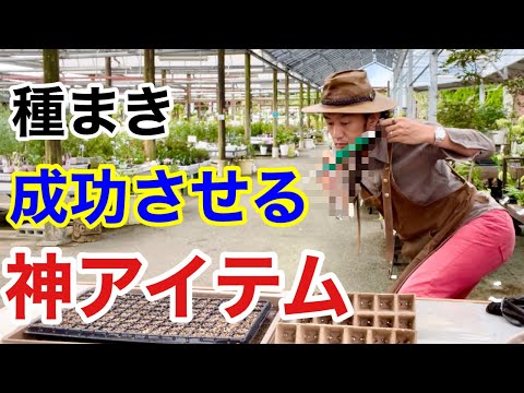 屋内での播種 種子の開始 ステップ カレンダー ガーデニング 4月のアイデア