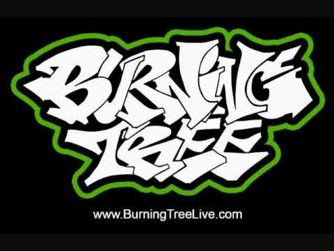 Burning Tree Dubstyle Improv Livewire Music Hall Savannah, Georgia