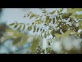 Mounam Pesiyadhe BGM Heart Melting Yuvan Shankar Raja