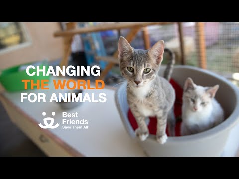 Best Friends is creating a better world through kindness to animals