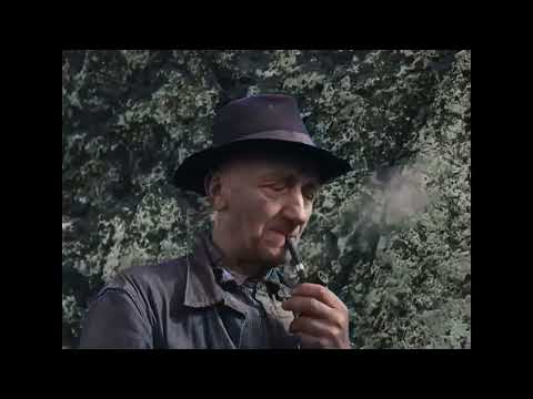 Ssuer på Sommerbeite 1955 - Ravndal i Ålgård