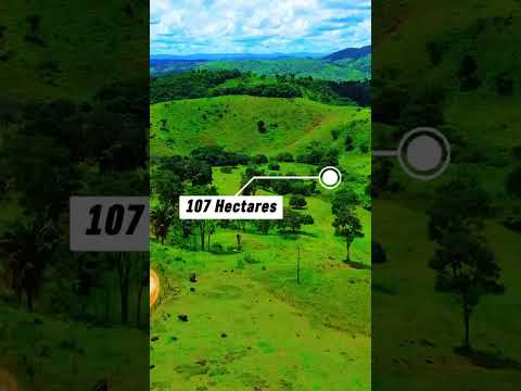 O Paraíso Rural Que Você Buscava: Fazenda em Ibicuí-BA com Cachoeiras e Pastagens Formadas