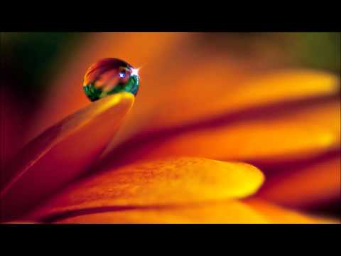 Hokkaido - Love Actually