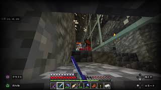 マイクラ　エンドラ