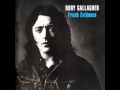 Rory Gallagher - The King Of Zydeco.wmv