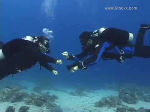 (5thD-X) Essentials Of Technical Diving - (9 Failures) Mistaken Right Failure