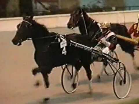 Traberroulette 1991 - Rennen