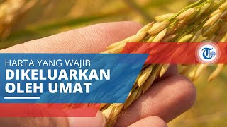 Zakat, Harta yang Wajib Dikeluarkan Orang Beragama Islam dan Diberikan kepada Golongan yang Berhak