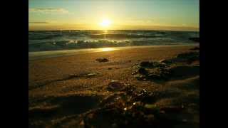 This  too shall pass - Rogue Wave