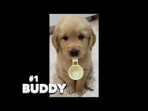 Supermodel of the Week 20 Finalists - November 30, 2015