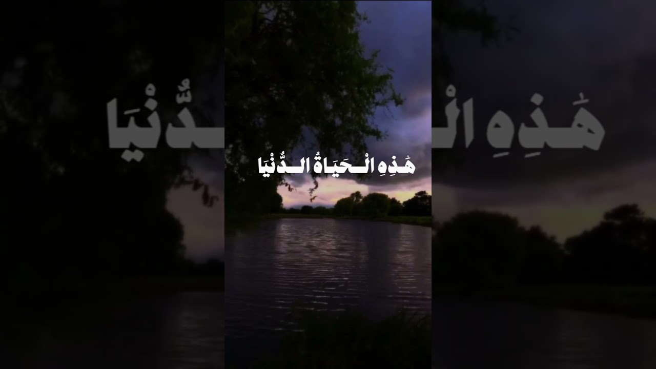 تلاوه هادئه بصوت الشيخ محمد صديق المنشاوي 🌾🌿 #تلاوة_هادئة #قرآن #قران_كريم