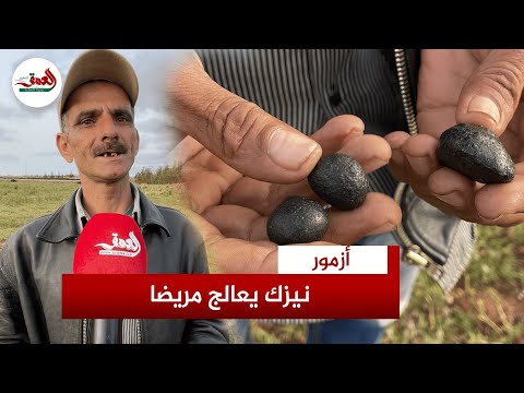 هدية من السماء.. نيزك نادر يشفي مواطنا بأزمور من ضيق التنفس