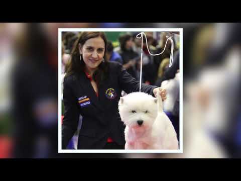 Ana Belén González Velasco, Peluquera Canina
