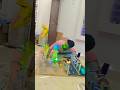 Electrical Engineering Project Idea Shorts