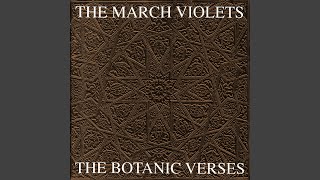 Music video thumbnail preview for Bon Bon Babies by The March Violets