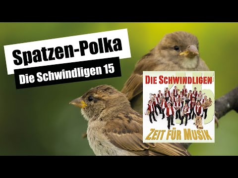 Spatzen-Polka | Bravourpolka für zwei Klarinetten in Eb und Bb
