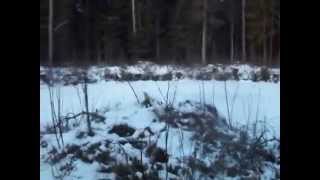 preview picture of video 'Lej po pocisku rakietowym V2 w środku lasu. (Zima)'