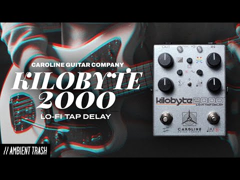 Caroline Guitar Company Kilobyte-2000 Lo-Fi Tap Delay image 7