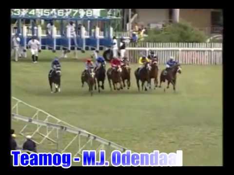 2012 - Teamog with M.J.Odendaal  (Maigrot Stable)