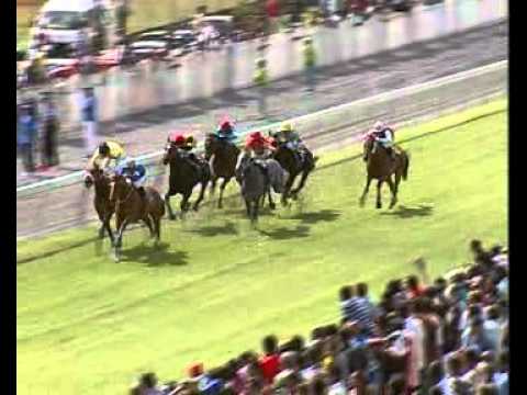 Weekend International 2011: 4e course - Ipse Dixit (Brown)