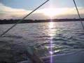 She Loves The Sunset...Sail