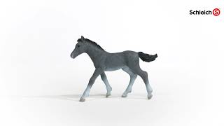Schleich Žriebä koňa trakénskeho