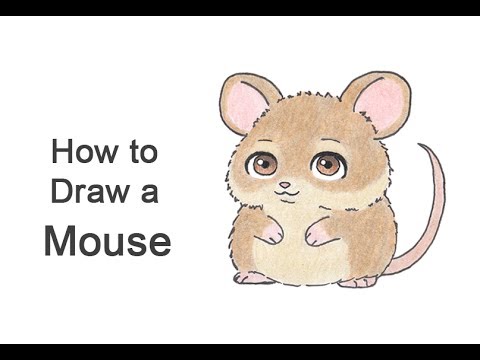 How to Draw a Mouse (Cartoon)