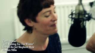 THE POPGUNS - "STILL WAITING FOR THE WINTER" LIVE ON THE JED SHEPHERD SHOW (WORLD EXCLUSIVE)