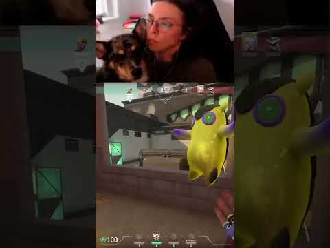 Dog in lap buff (1v3 clutch) | #1yzma on #Twitch