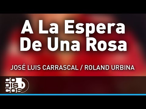 A La Espera De Una Rosa, José Luis Carrascal, Roland Urbina - Audio