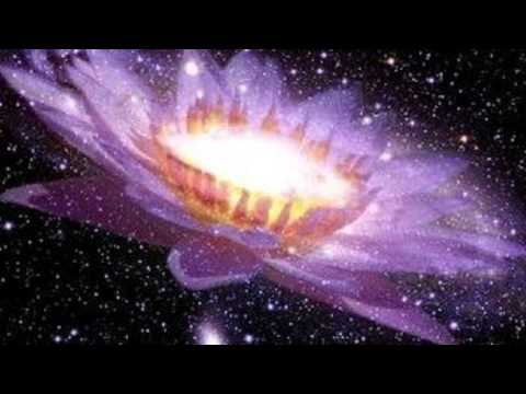 Spatial Plants Vs Electro Magic Sound - Magic Plants (Original Mix)