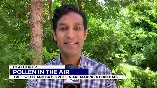 Pollen In the Air, Allergy Shots & Sublinguals