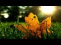 Dead Leaf … Lalo Schifrin