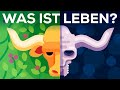 Was Ist Leben Ist Der Tod Real