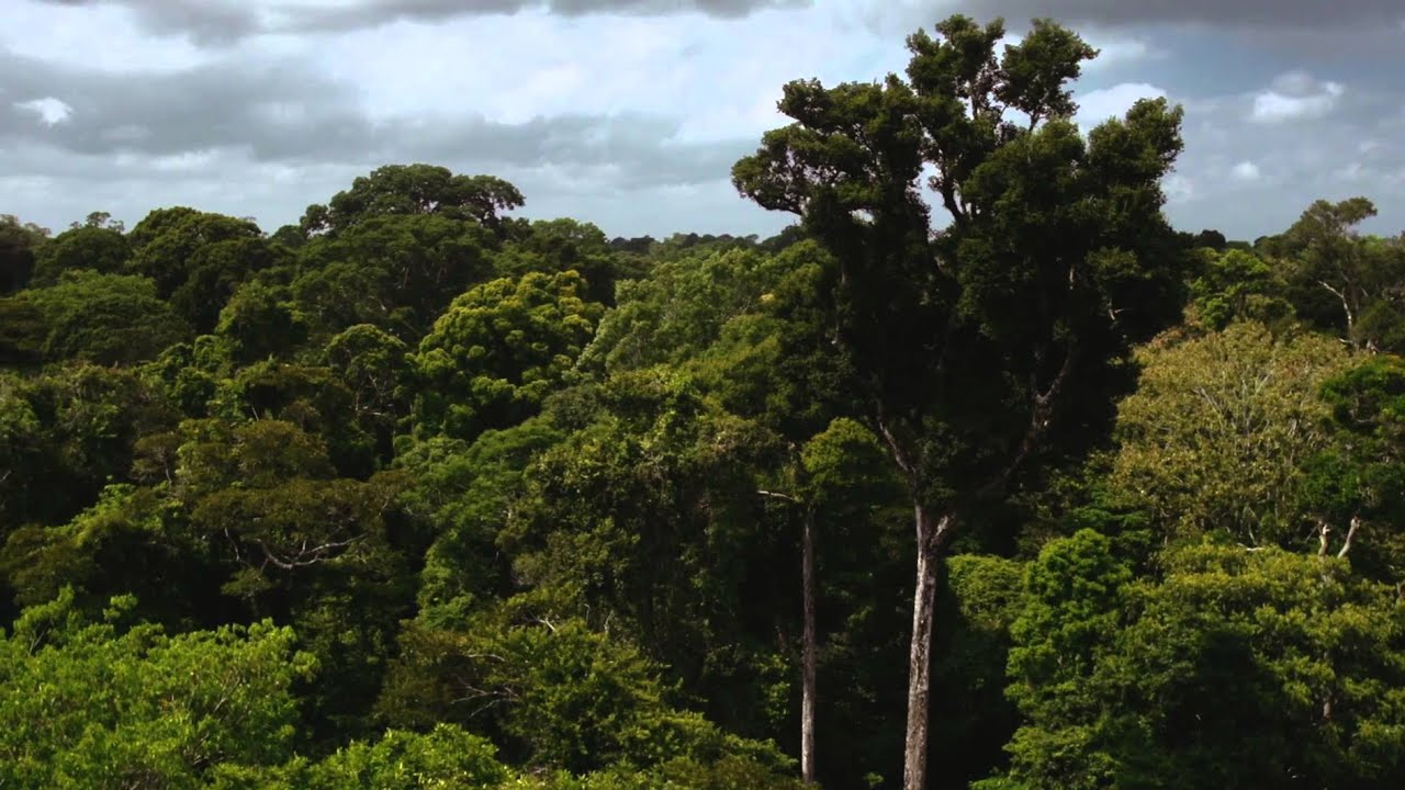 Amazônia S/A (Sociedade Anônima) - Episódio 1