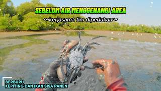 Download lagu REJEKI NOMPLOK! DIBURU WAKTU Berburu Kepiting & Ikan Sisa Panen Sebelum Air Laut Menenggelamkan ! mp3