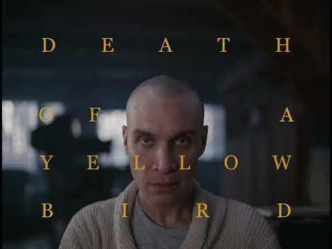 Death of a Yellow Bird