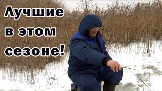 Ссылка