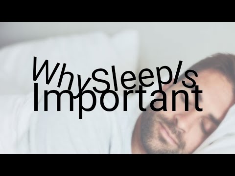Why Sleep Is More Important Than You Think