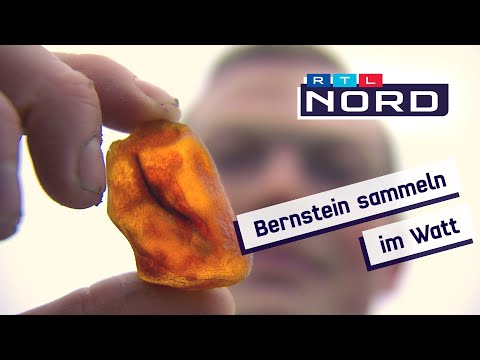 Schmucksteine aus der Nordsee: Wo man Bernstein findet und wie man ihn erkennt