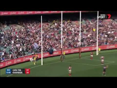 Round 3 AFL - Carlton v Essendon Highlights