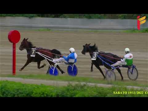 II corsa del 19 novembre 2022 - 3 Anni - Metri 2000