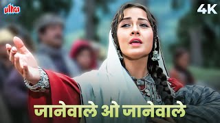 Download lagu Janewale O Janewale 4K | जानेवाले ओ जानेवाले | Heena Songs | Suresh Wadkar, Lata Mangeshkar |Rishi K mp3