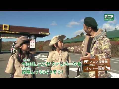 アニア アニア探検隊！IN富士サファリパーク