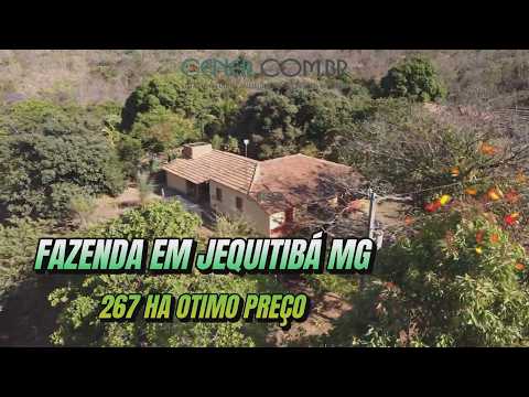 Cener Imóveis 3057 Fazenda de 267 ha por 1 990.000,00 na região de Jequitibá MG