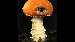 Franz Treichler - Lucidogen (Braindance mix)