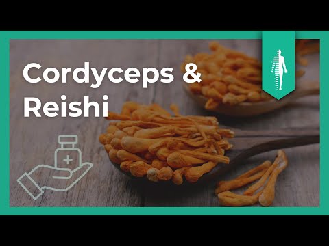 Reishi & Cordyceps: DAS solltest Du unbedingt wissen! | Heilpilze | Martin Auerswald