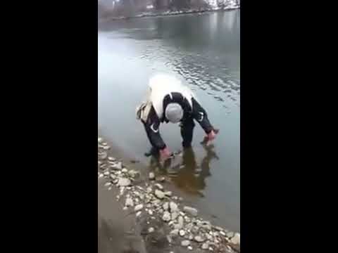 Đorđe Krajišnik - Mladica C&R - Drina