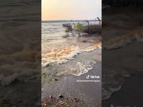 Rio Uruguay Represa Salto Grande